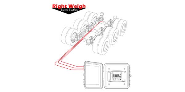 right-weigh